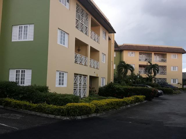 Apartment for Rent   Kingston 8