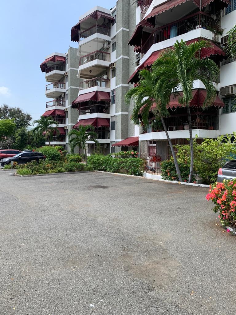 Apartment for Rent   NEW KINGSTON