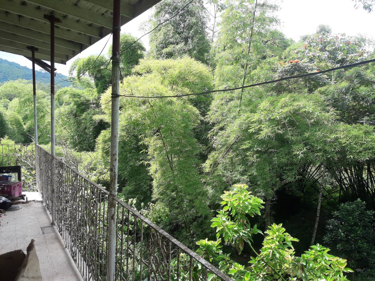 House for Sale   Kingston 9
