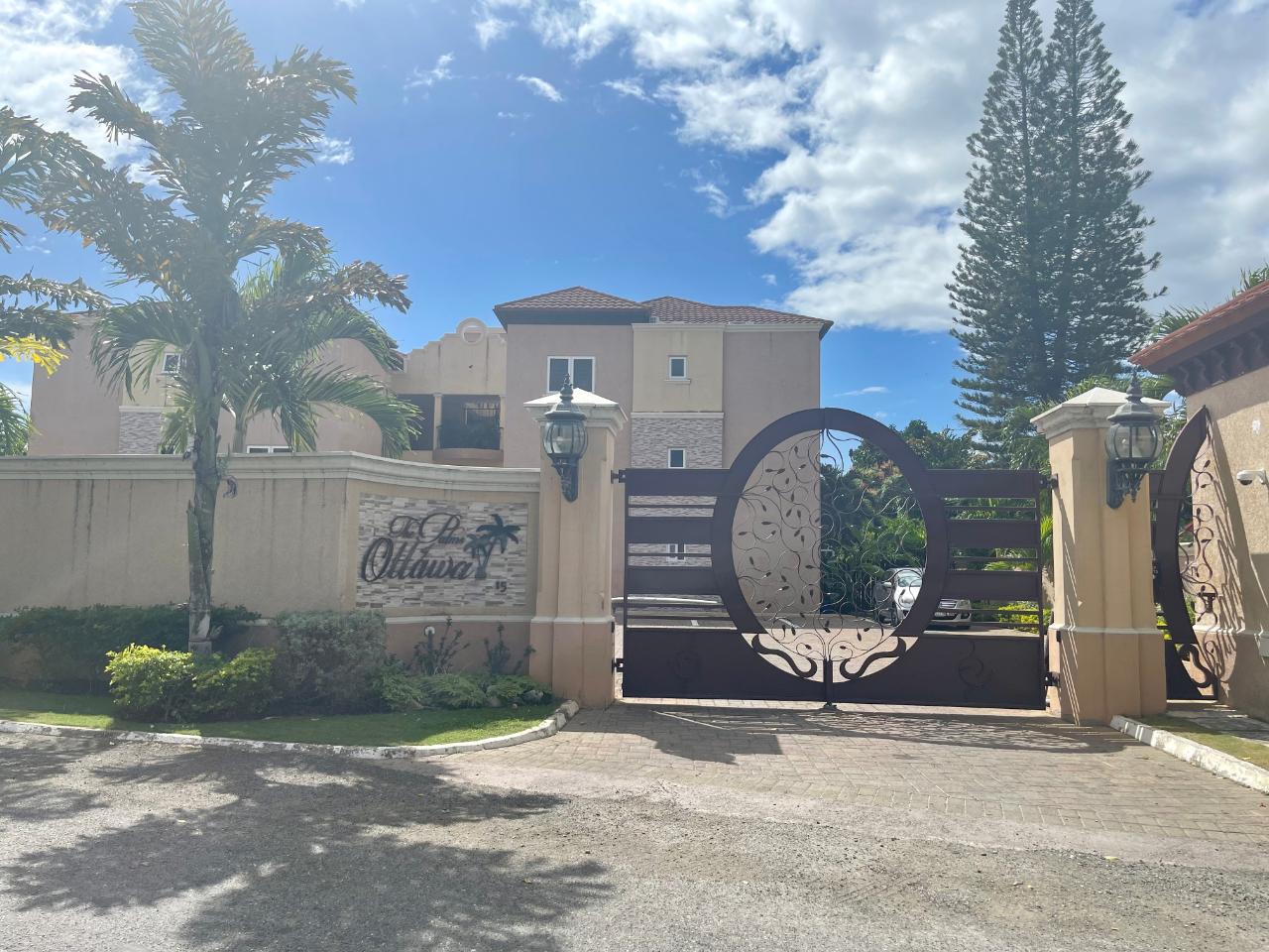 Apartment for Rent   Kingston 6