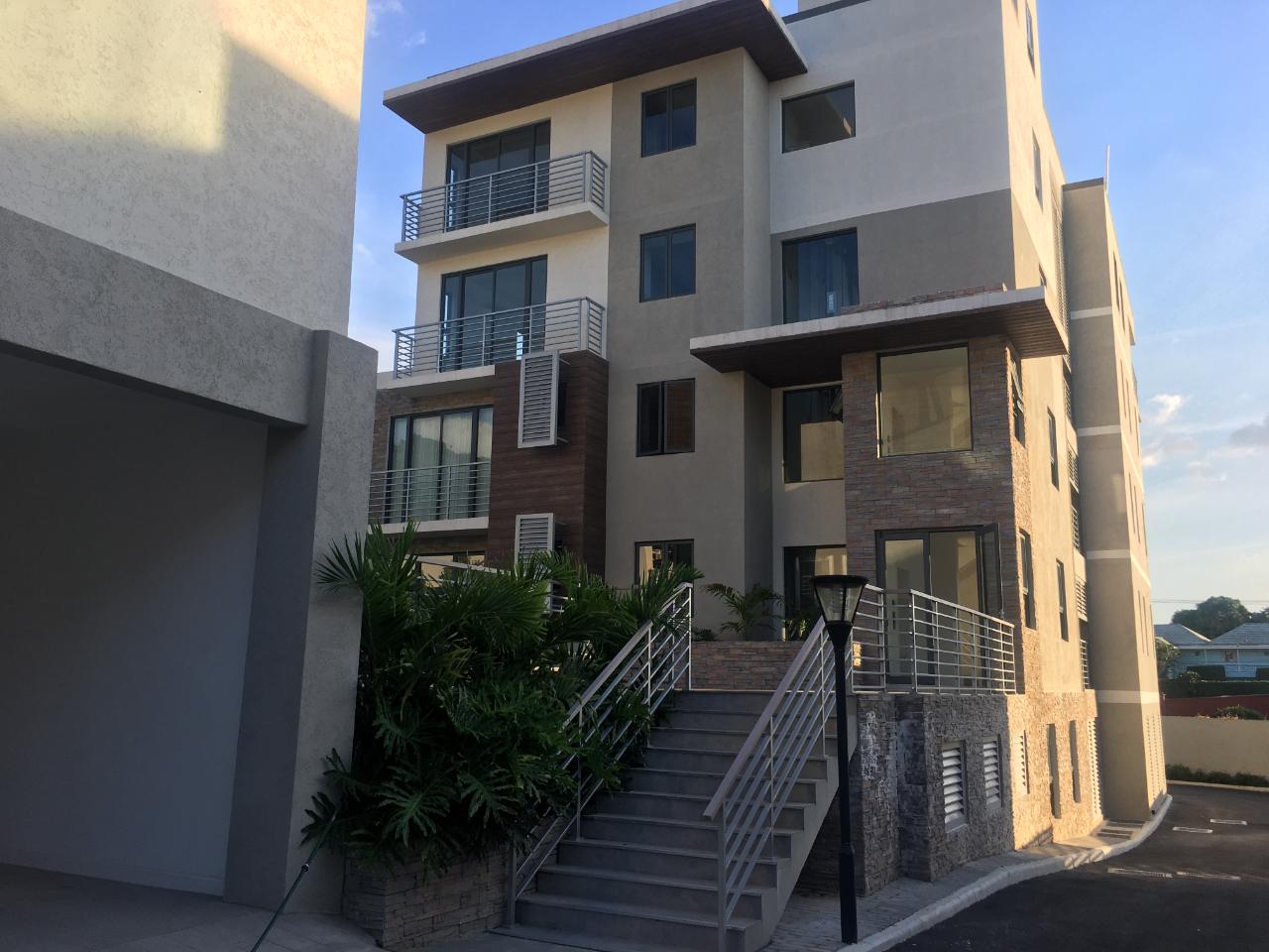 Apartment for Rent   Kingston 6