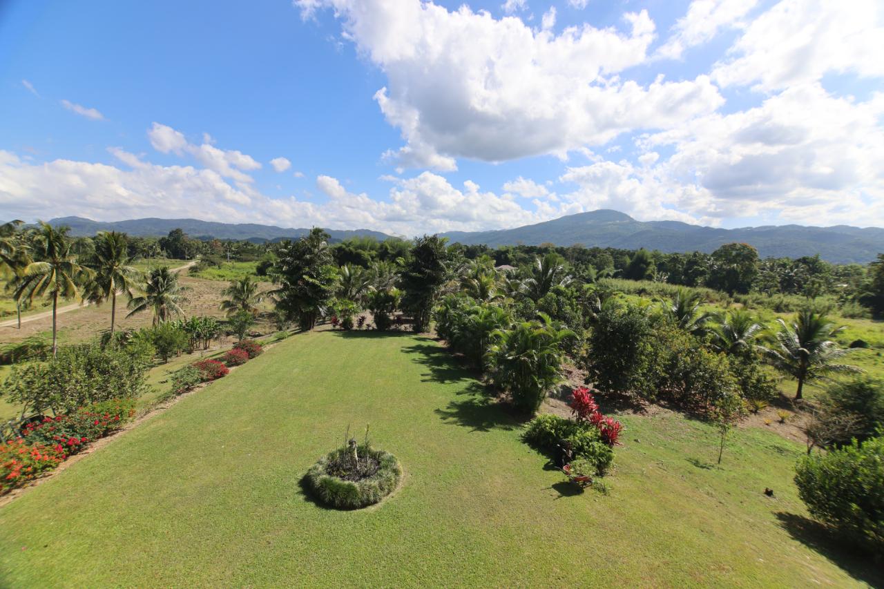 House for Sale   Bog Walk