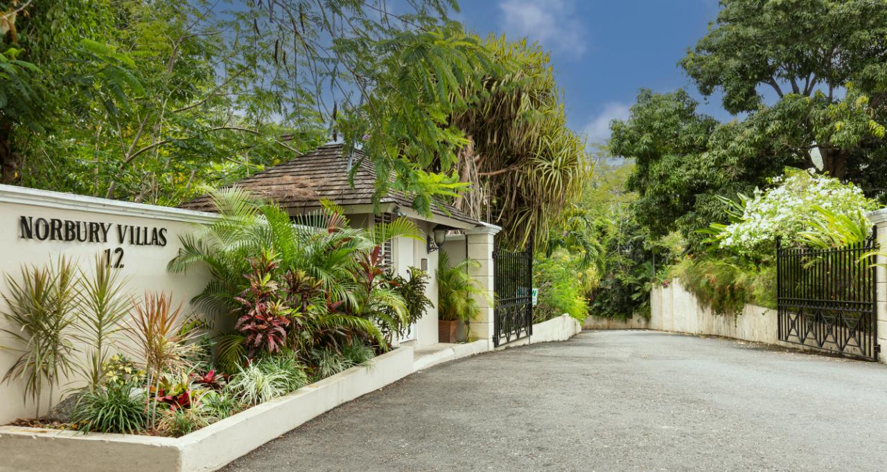 House for Rent   Kingston 8