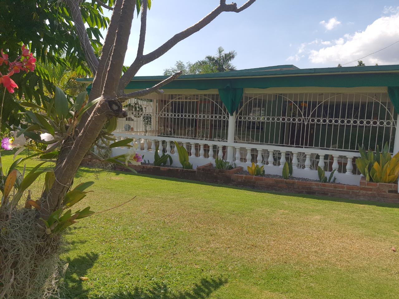 House for Sale   Kingston 8