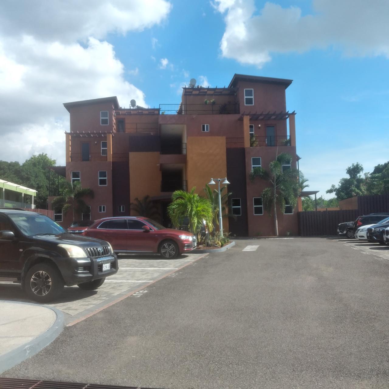 Apartment for Rent   Kingston 10