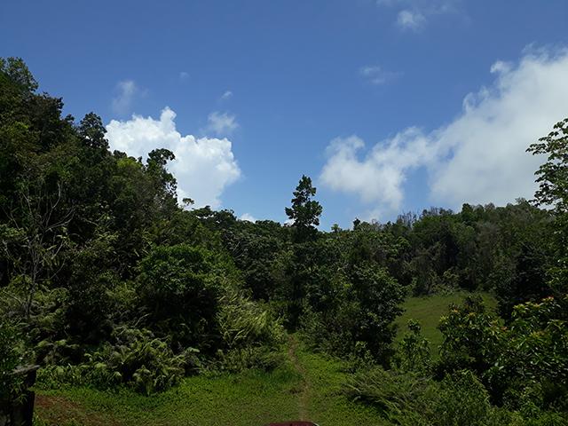 House for Private   Bamboo