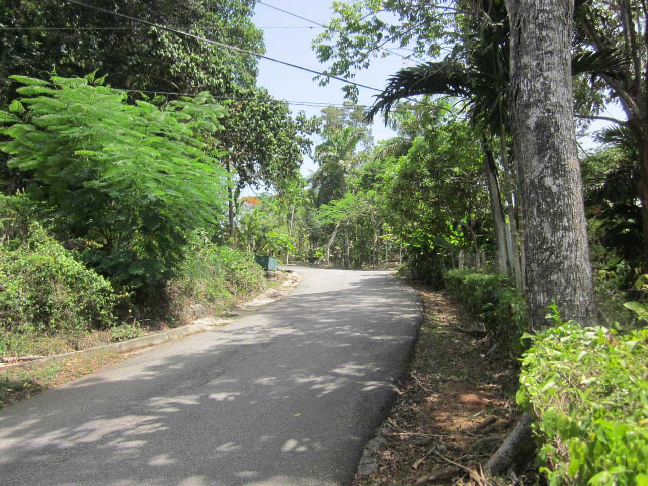 Residential Lot for Sale   Lodge