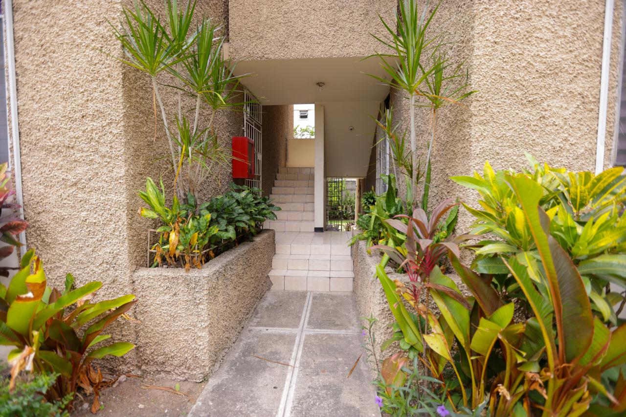 Apartment for Rent   Kingston 8