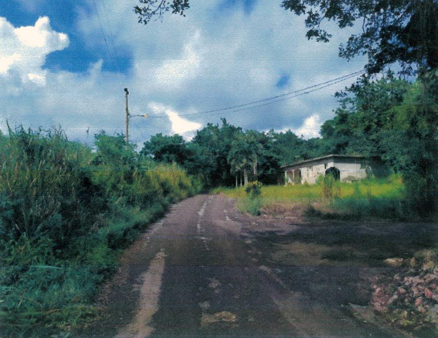 House for Private   Ellen Street