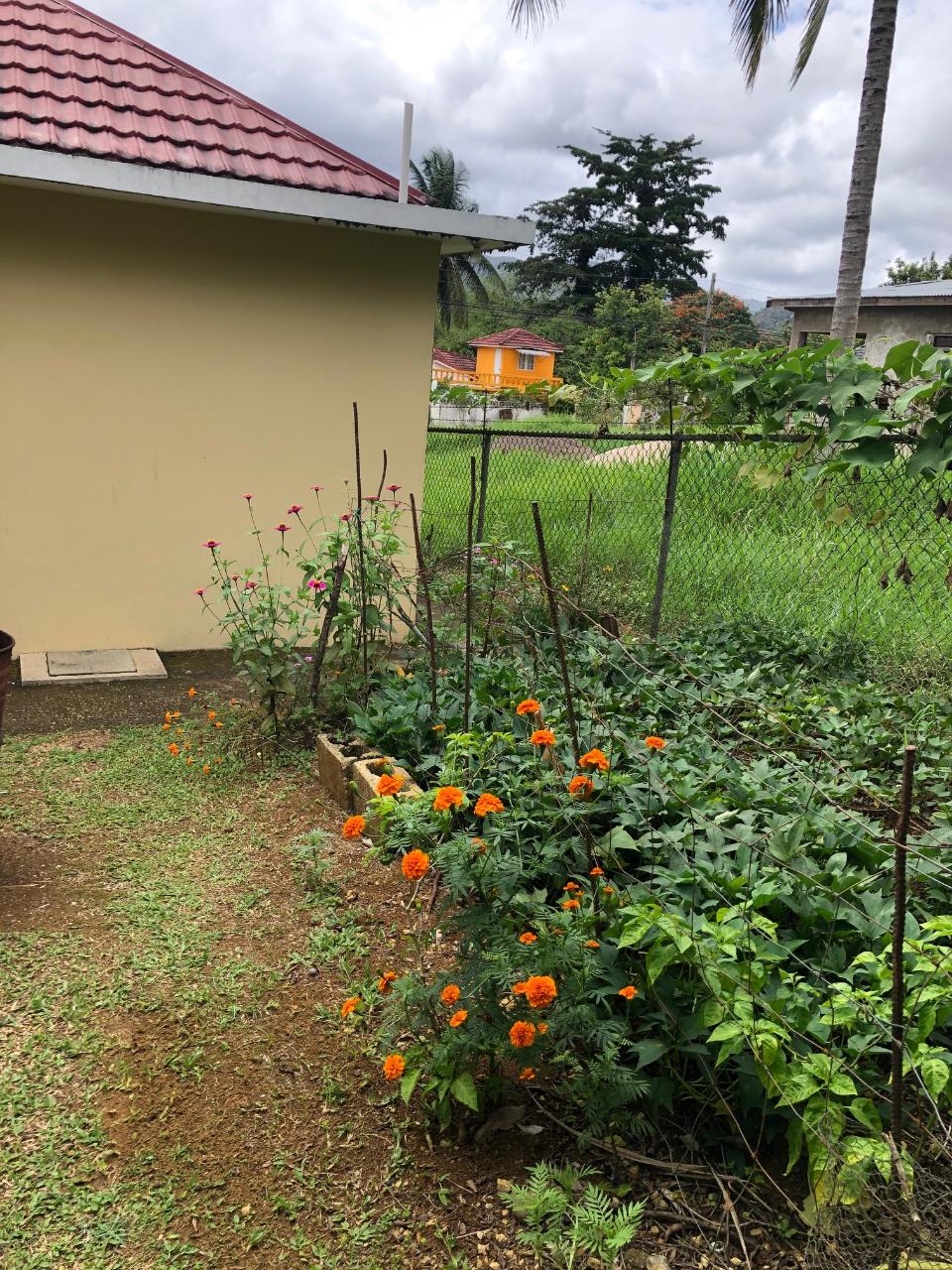 House for Sale   Moneague