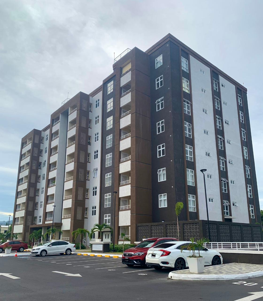 Apartment for Rent   Kingston 10