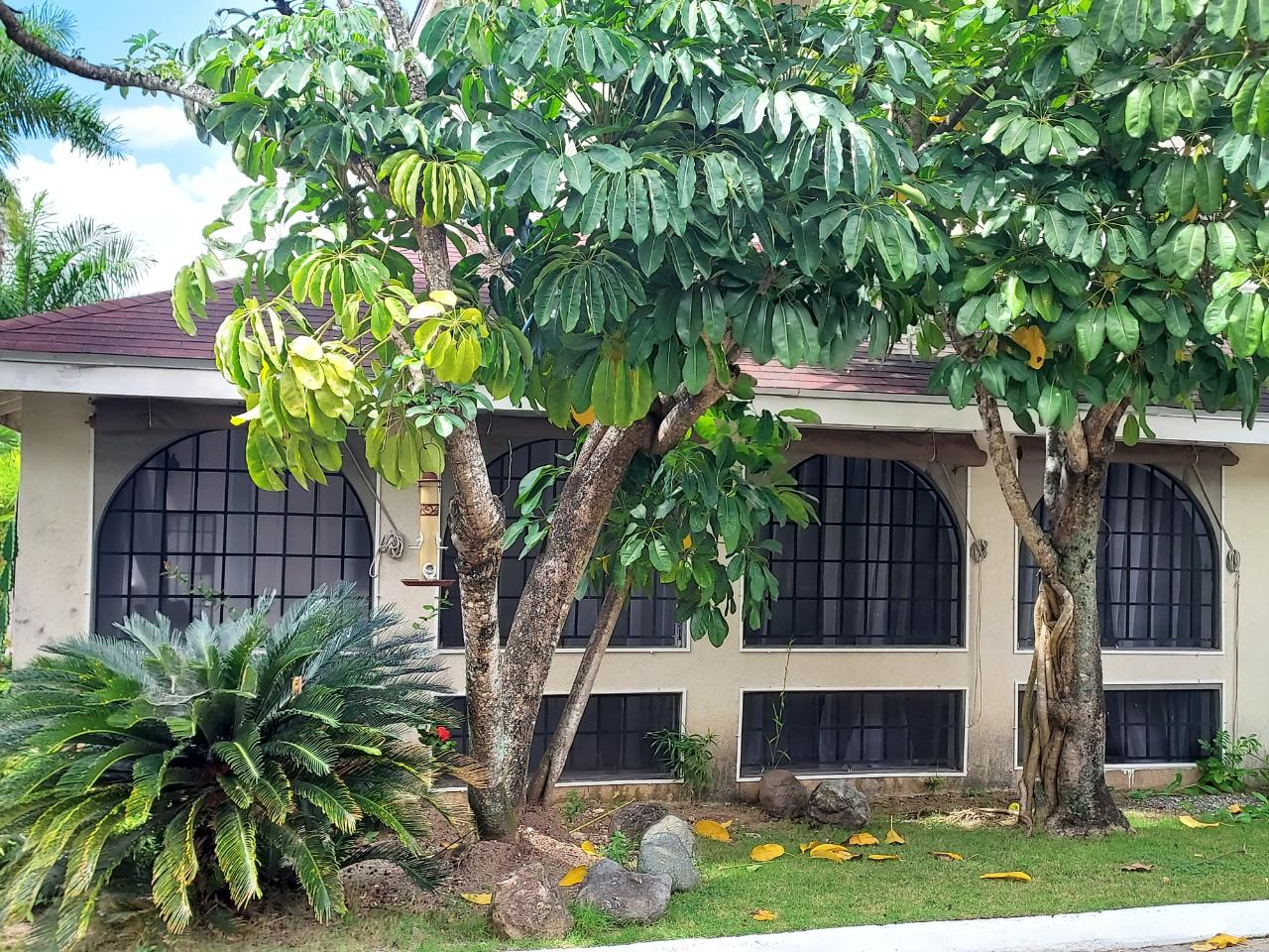 Townhouse for Rent   Kingston 8