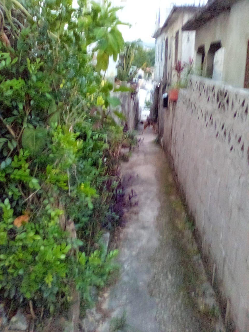 Apartment for Sale   Montego Bay