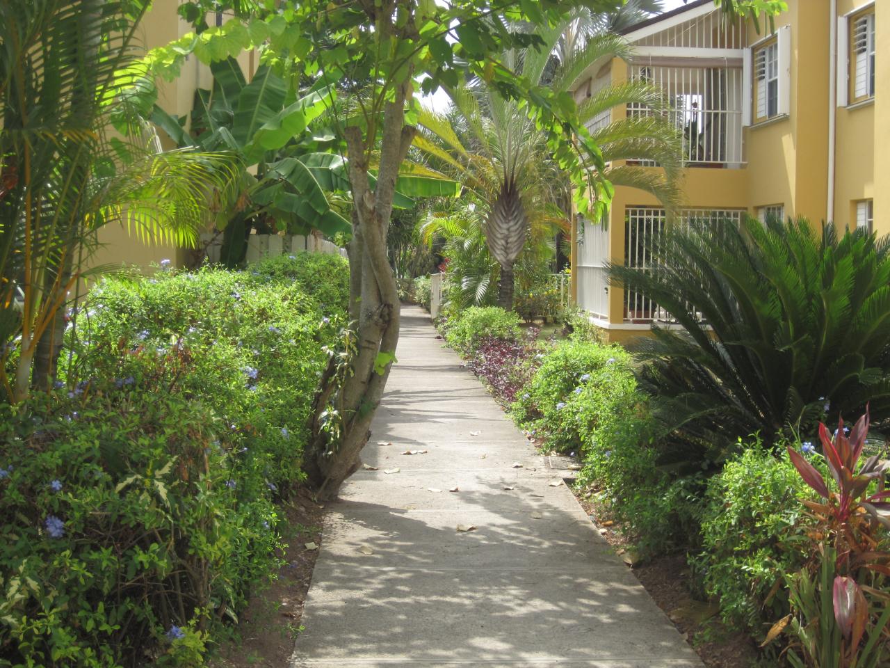 Townhouse for Rent   Norbrook