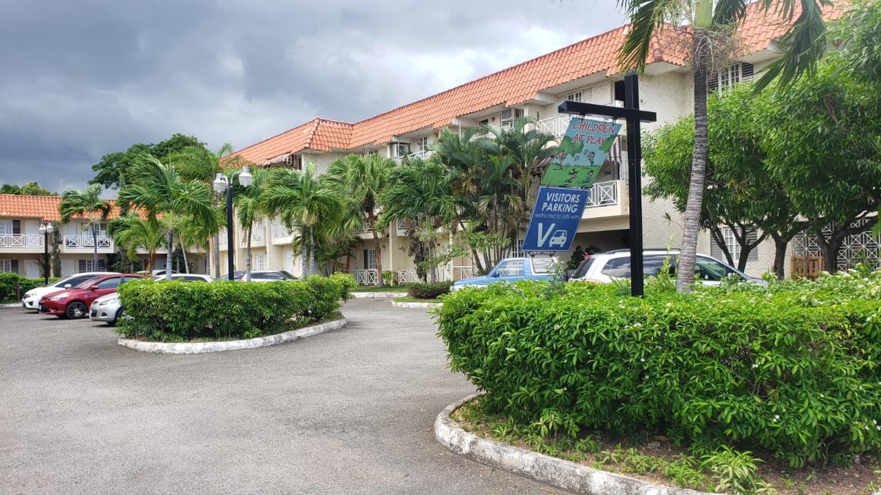 Apartment for Rent   Kingston 10
