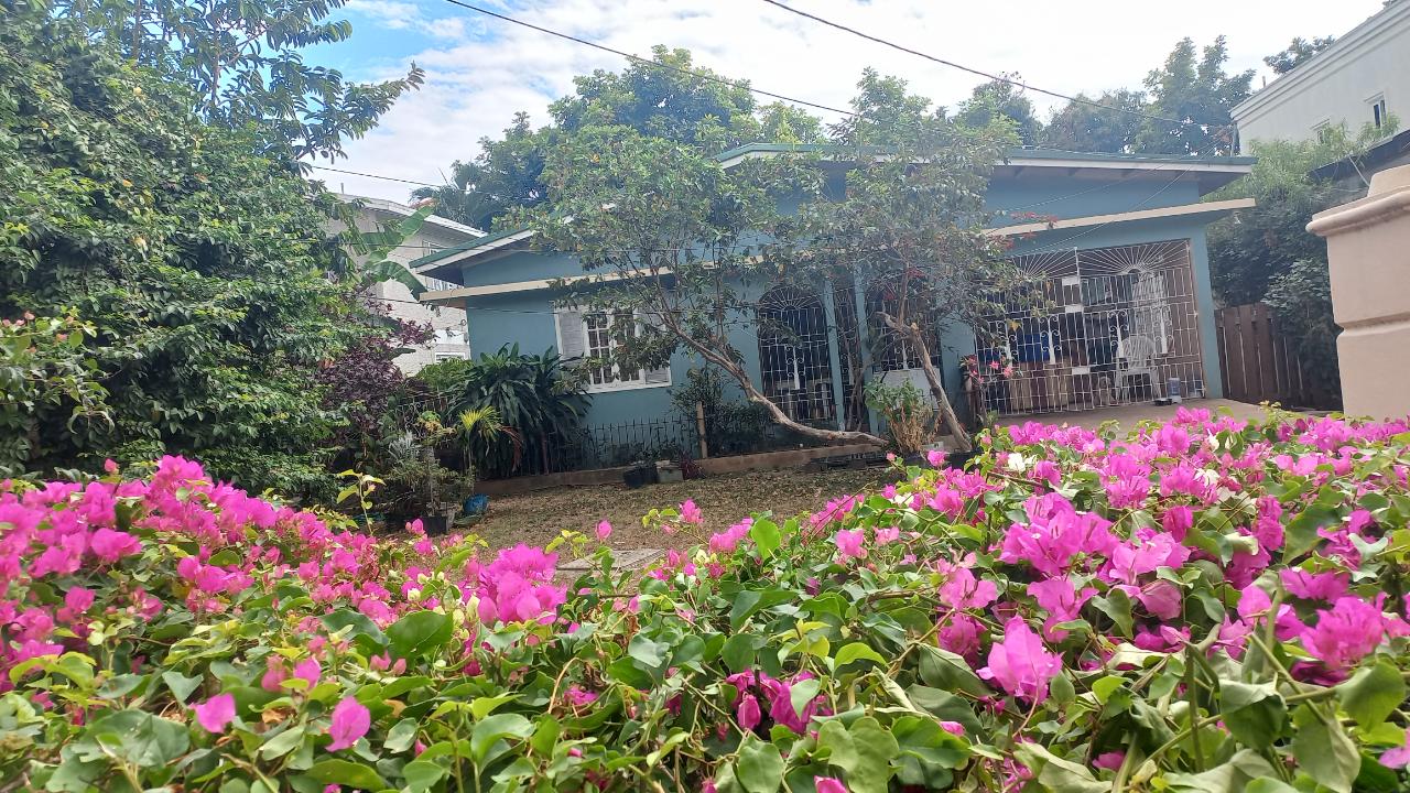 House for Sale   Kingston 6
