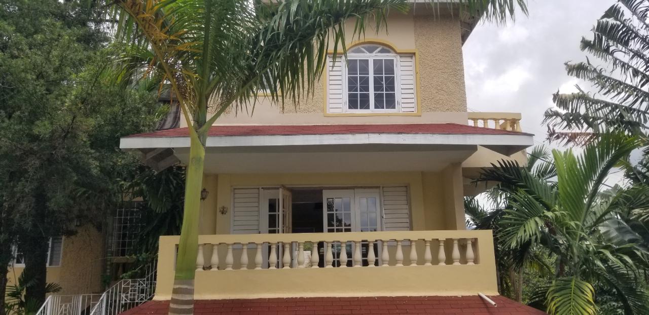 Apartment for Rent   Kingston 8