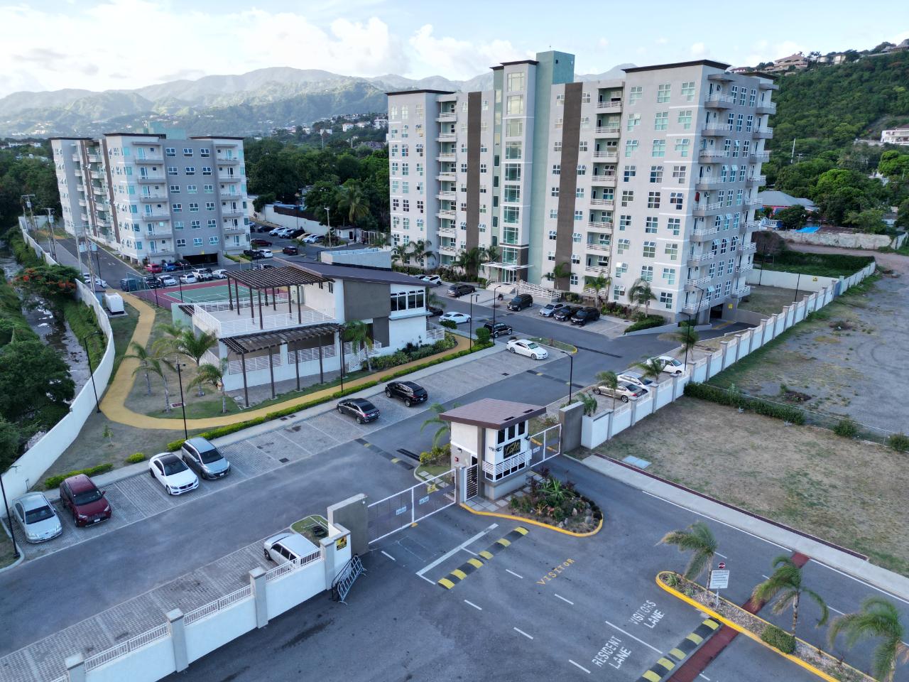 Apartment for Rent   Kingston 6