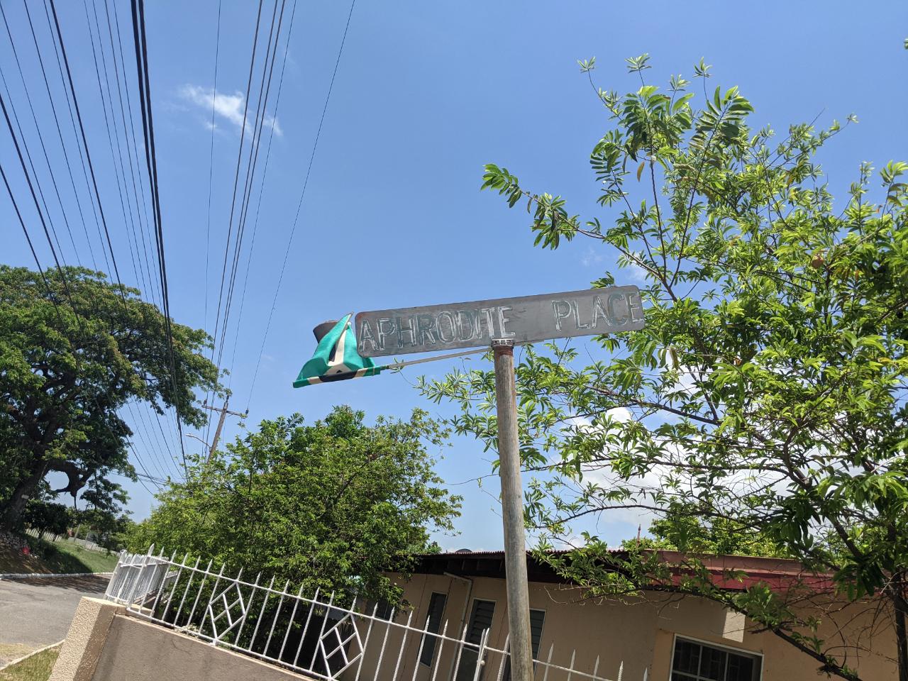 House for Rent   Kingston 20