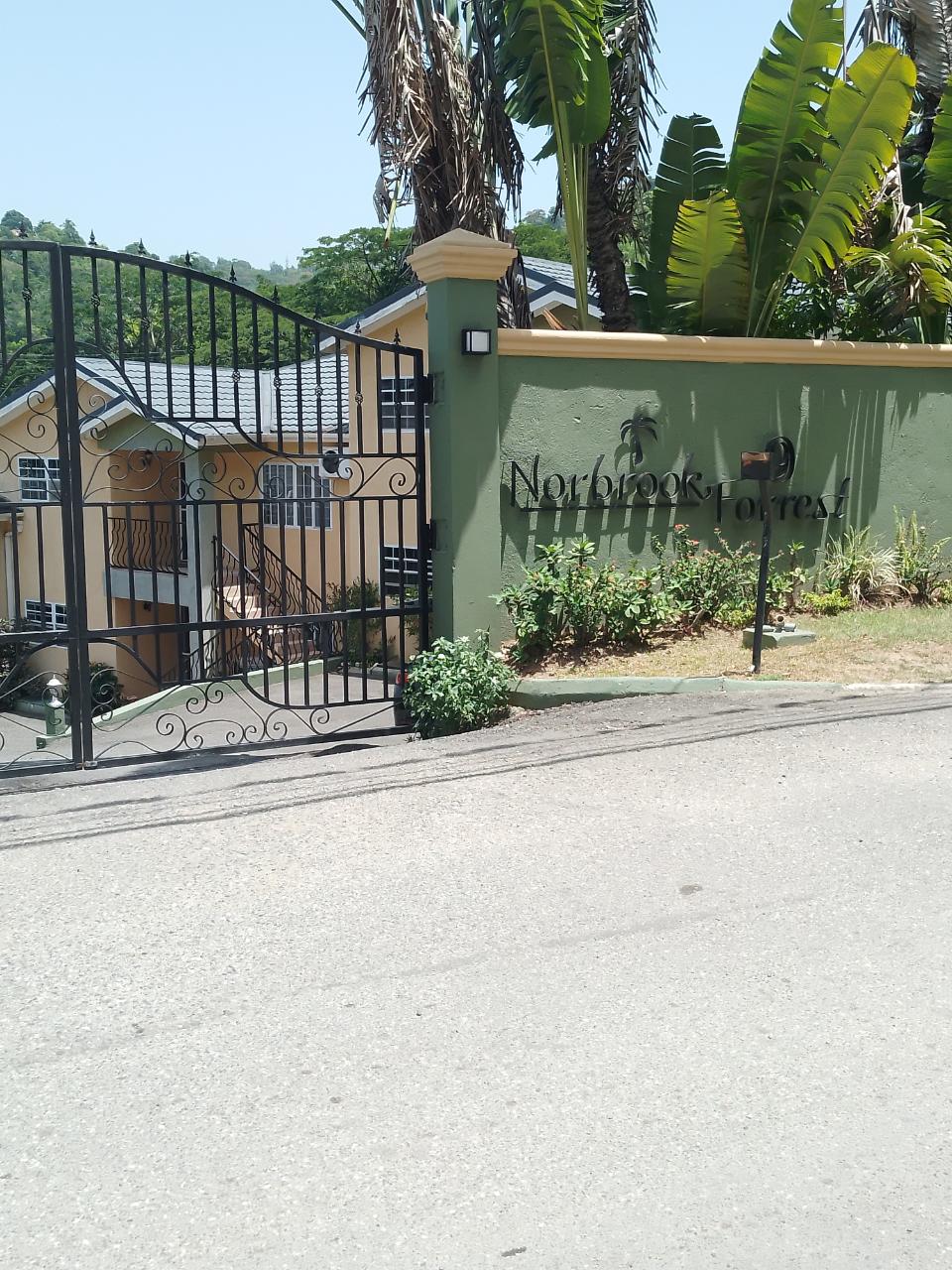 Apartment for Rent   Kingston 8