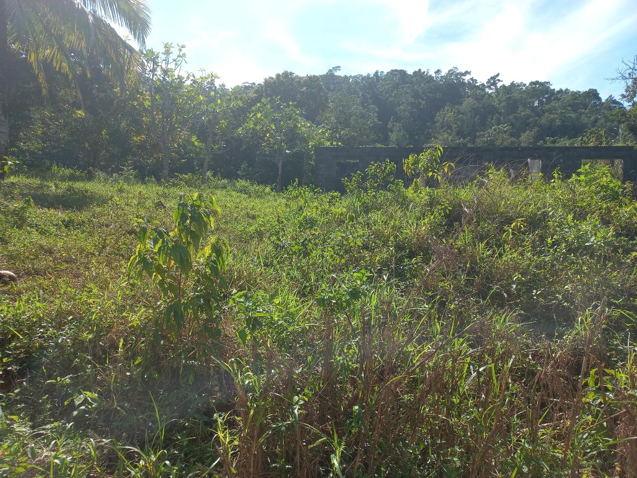 House for Sale   Bamboo