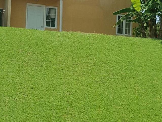 Townhouse for Sale   Montego Bay