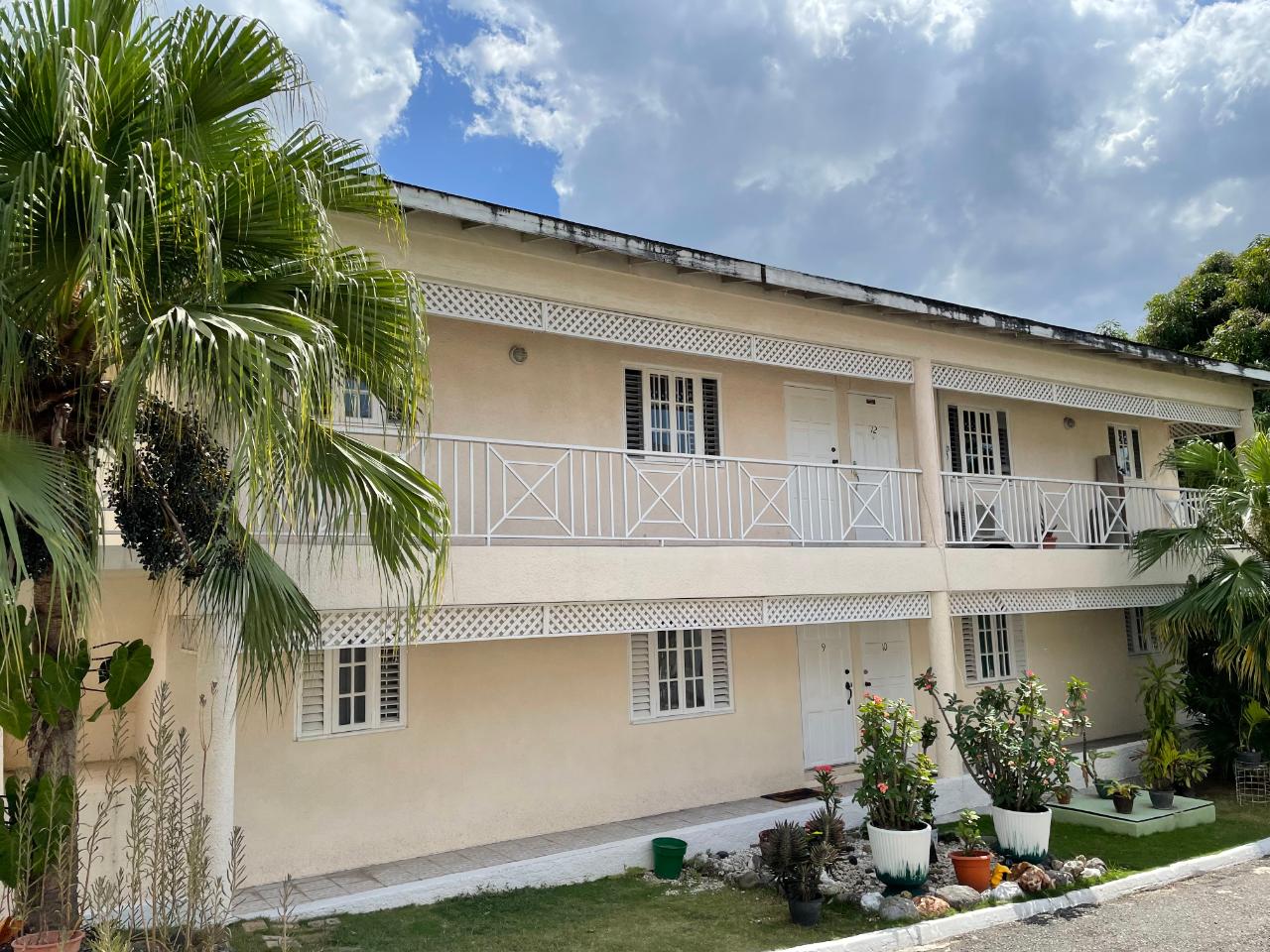 Apartment for Rent   Kingston 6