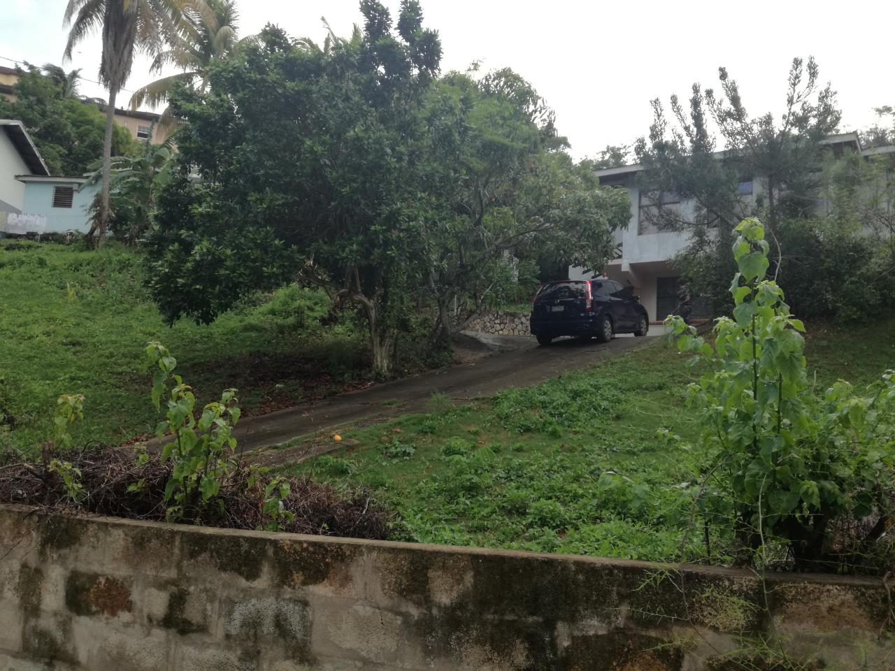 House for Sale   Kingston 8