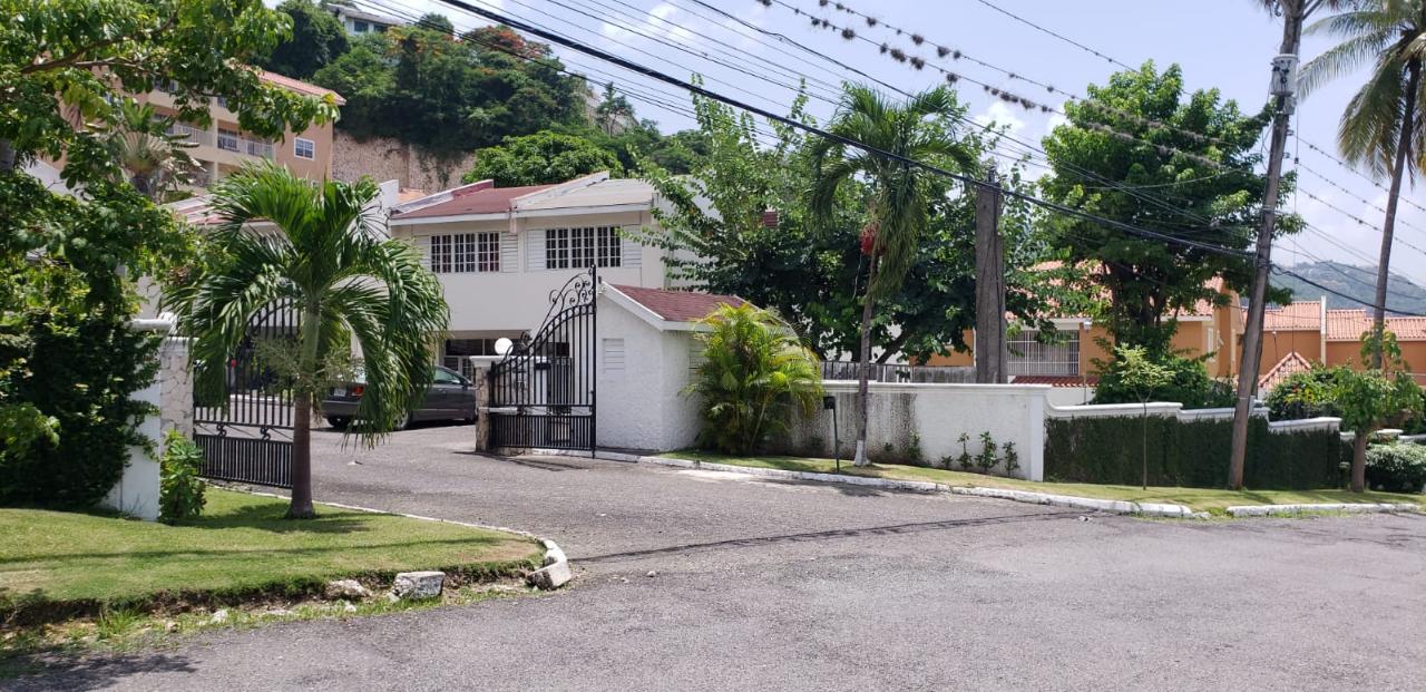 Apartment for Rent   Kingston 8