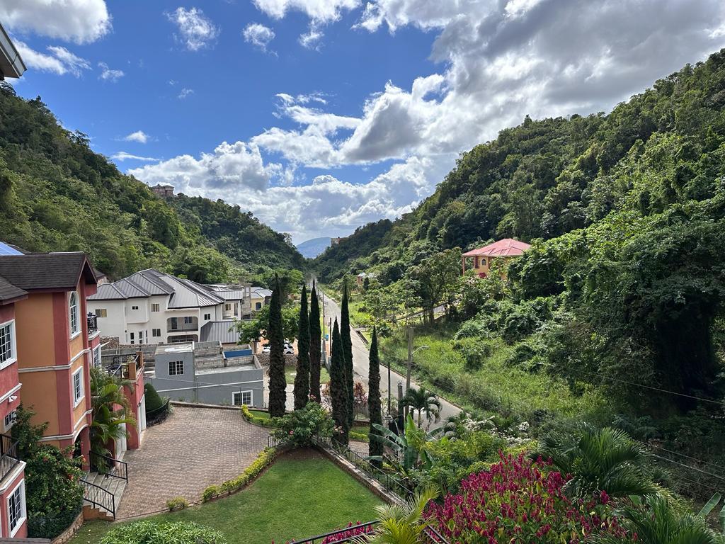 House for Sale   Kingston 19
