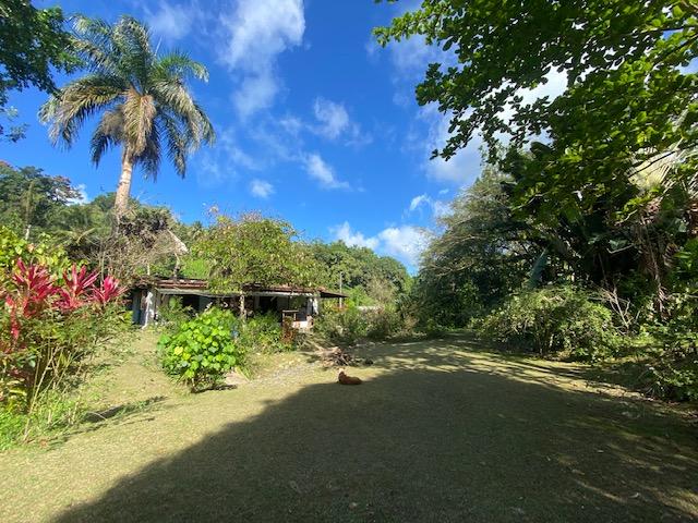 House for Sale Port Antonio