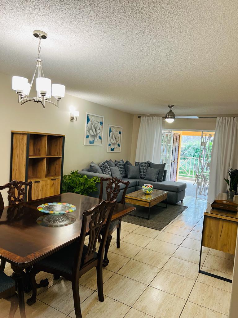 Apartment for Rent   Kingston 8