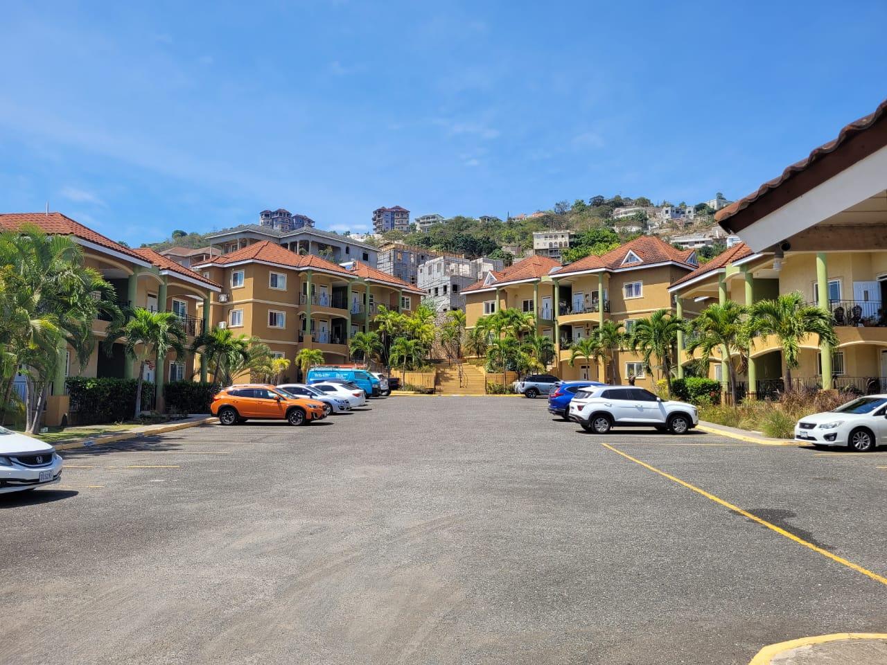 Apartment for Sale   Kingston 19