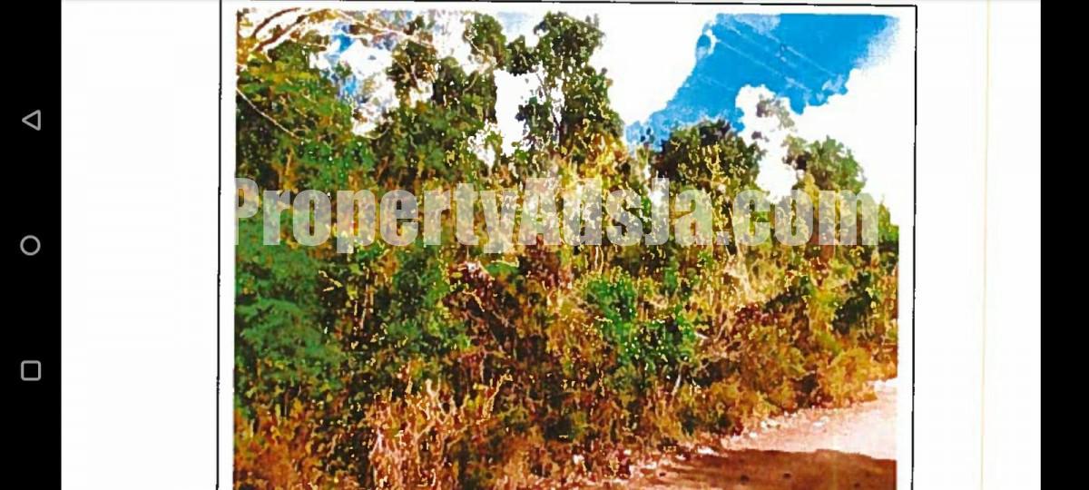 Land For Sale in Asia, Manchester, Jamaica