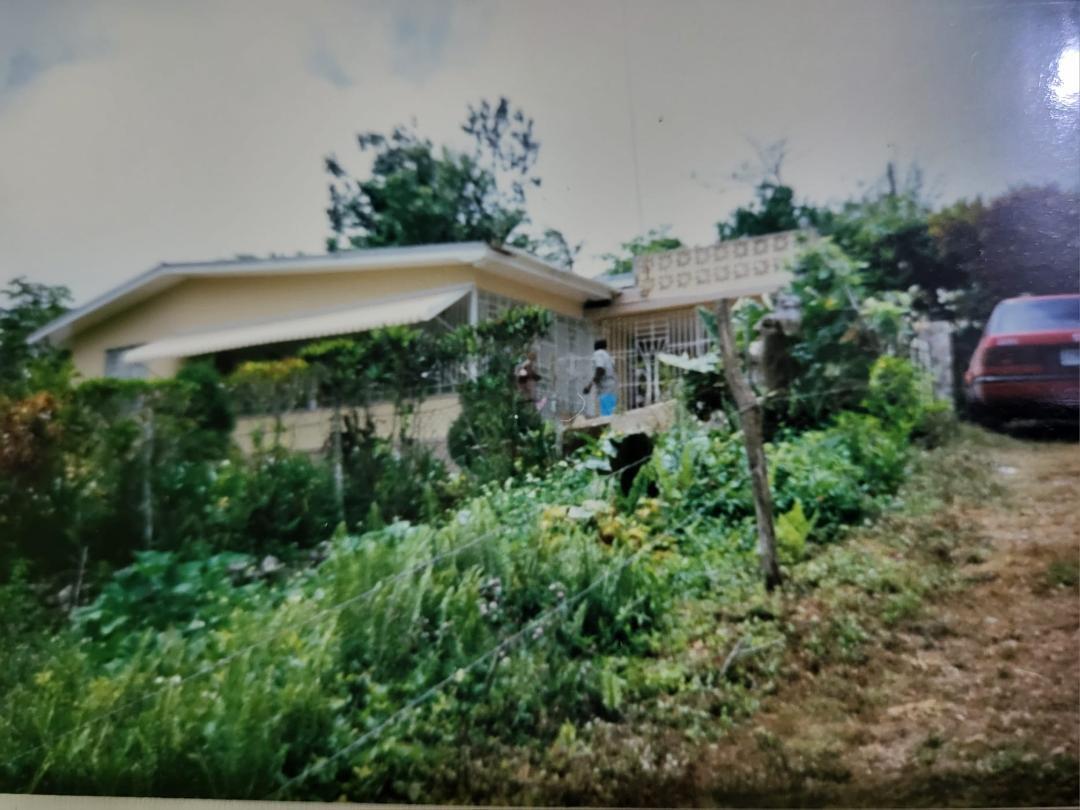House for Sale   Bamboo