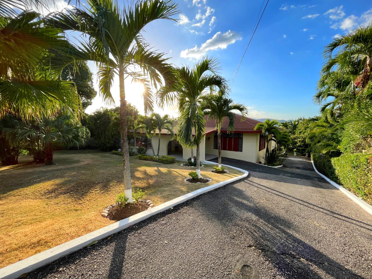 House for Rent   Kingston 8