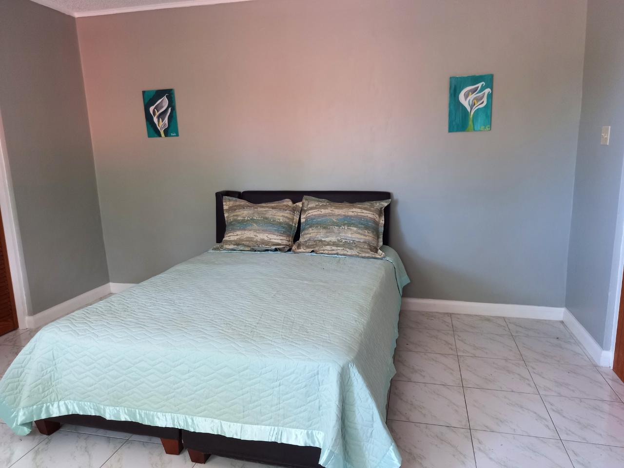 Apartment for Rent   Kingston 8