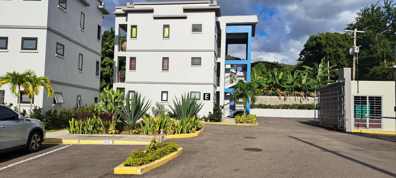 Apartment for Rent   Kingston 8