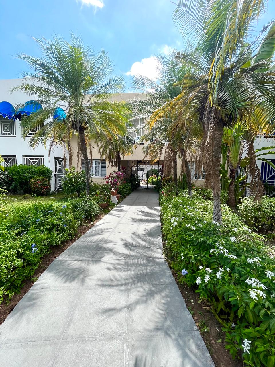 Apartment for Rent   Kingston 10