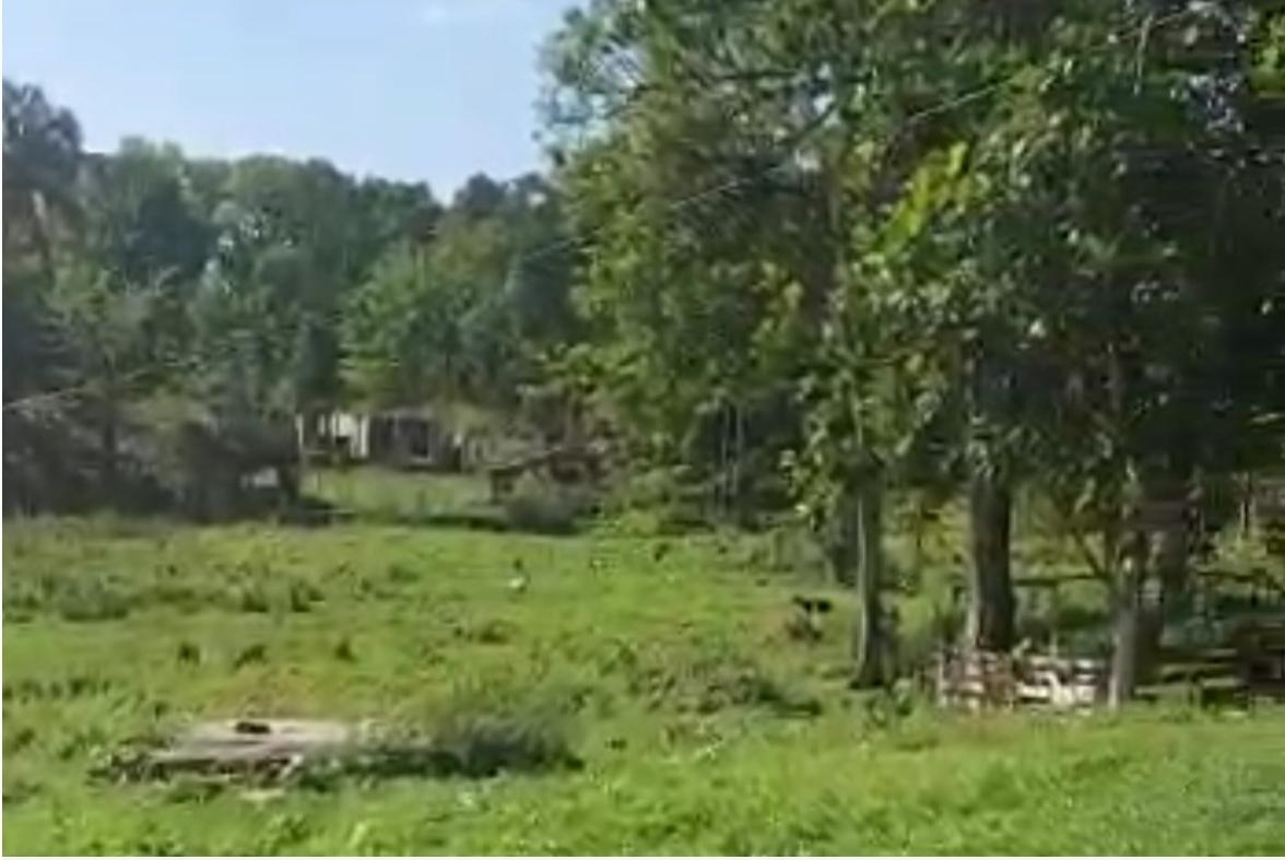House for Sale   Lambs River