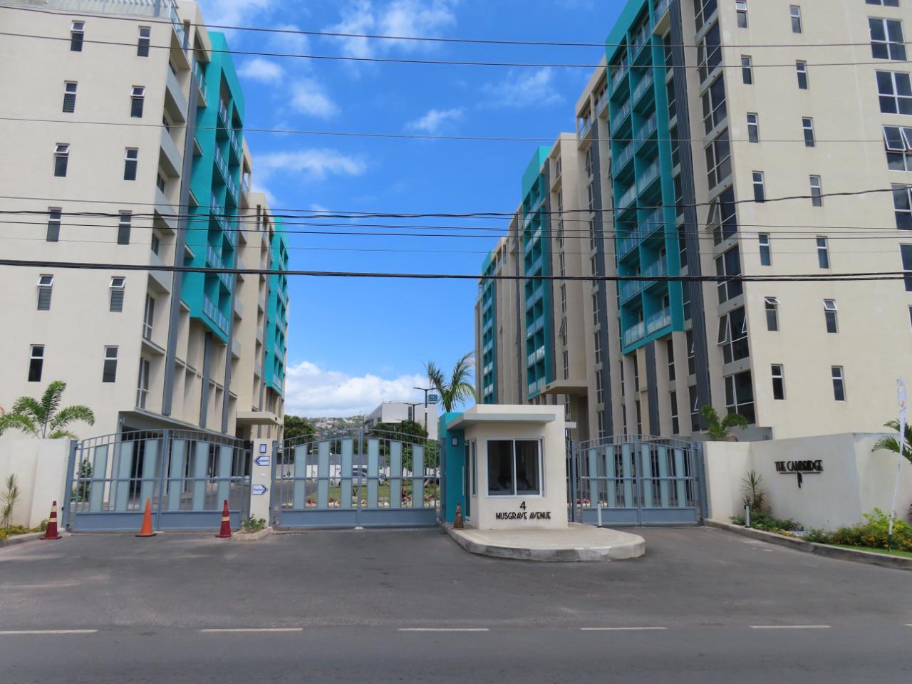 Apartment for Rent   Kingston 5
