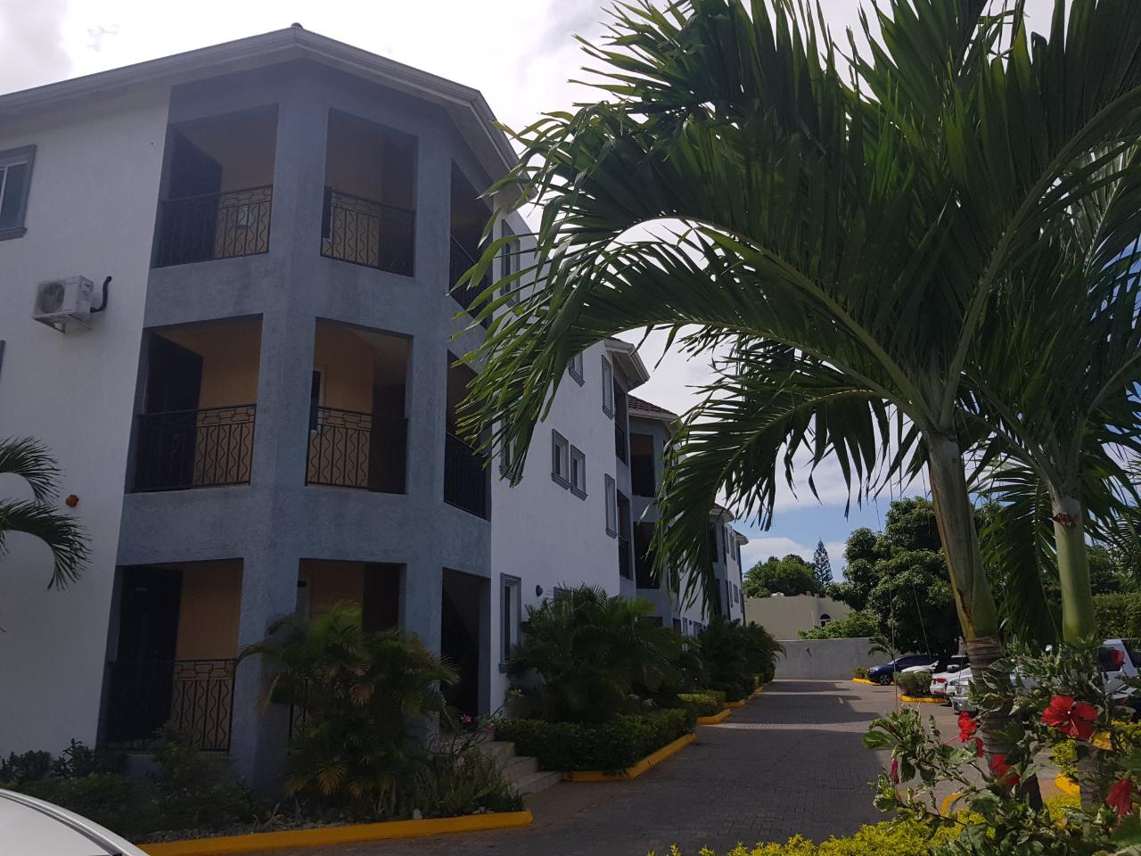 Apartment for Rent   Kingston 10