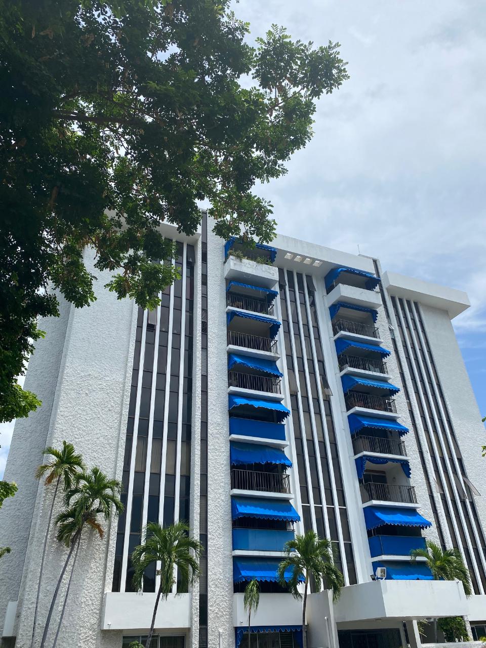 Apartment for Rent   Kingston 5