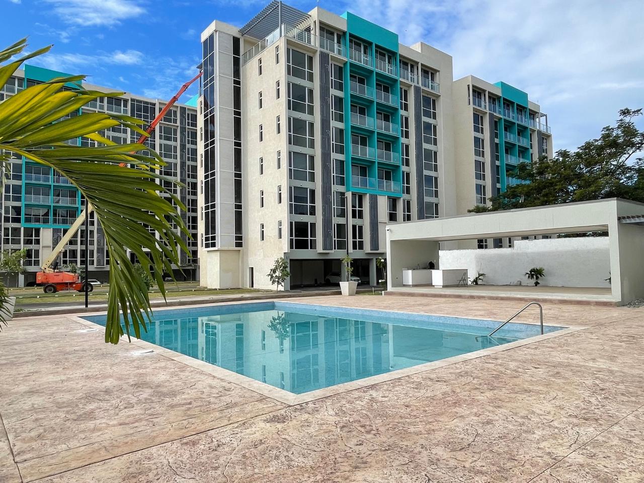 Apartment for Rent   Kingston 5