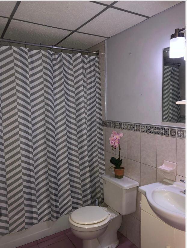 Apartment for Rent   Kingston 10
