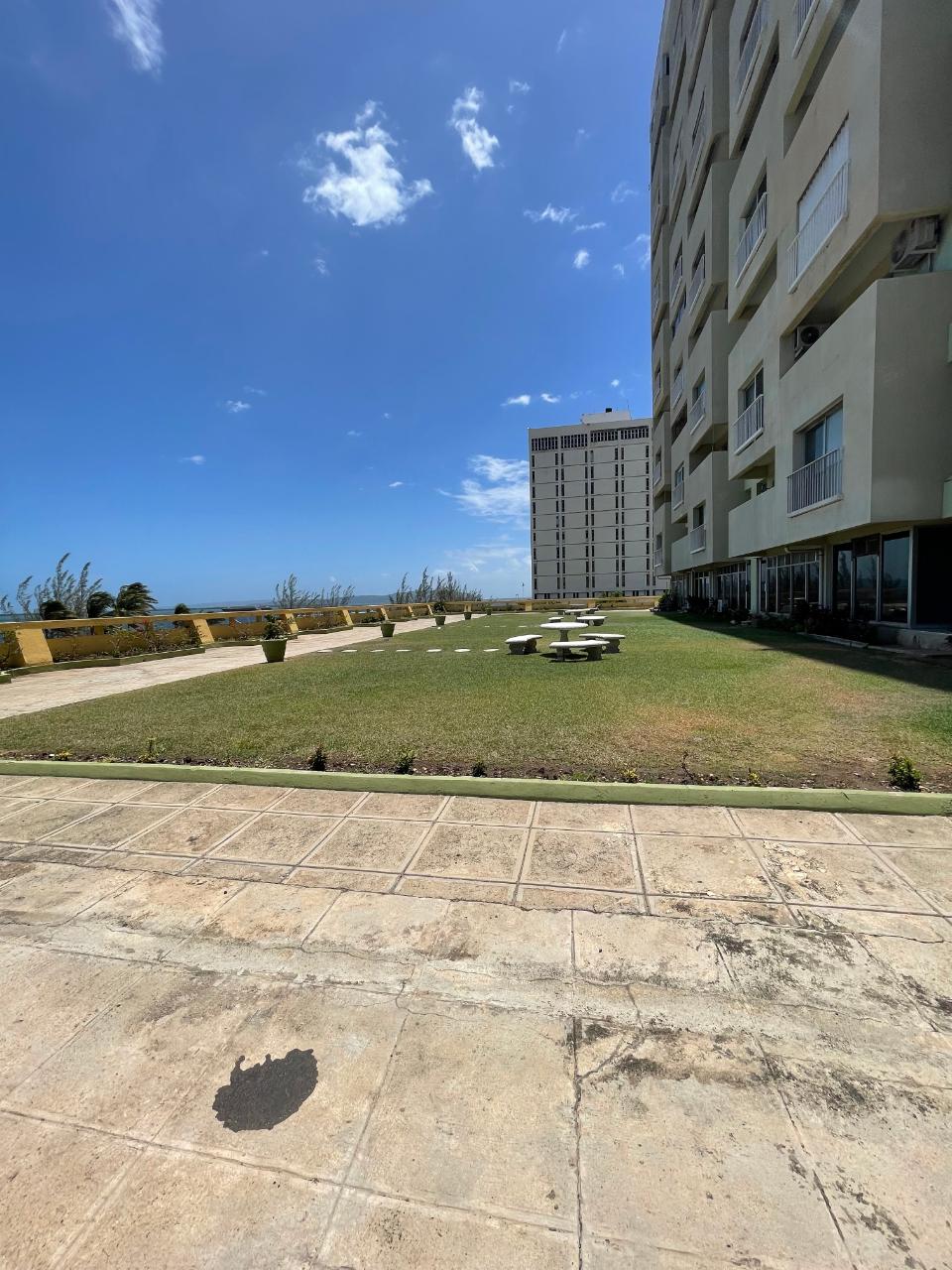 Apartment for Rent   Kingston 14