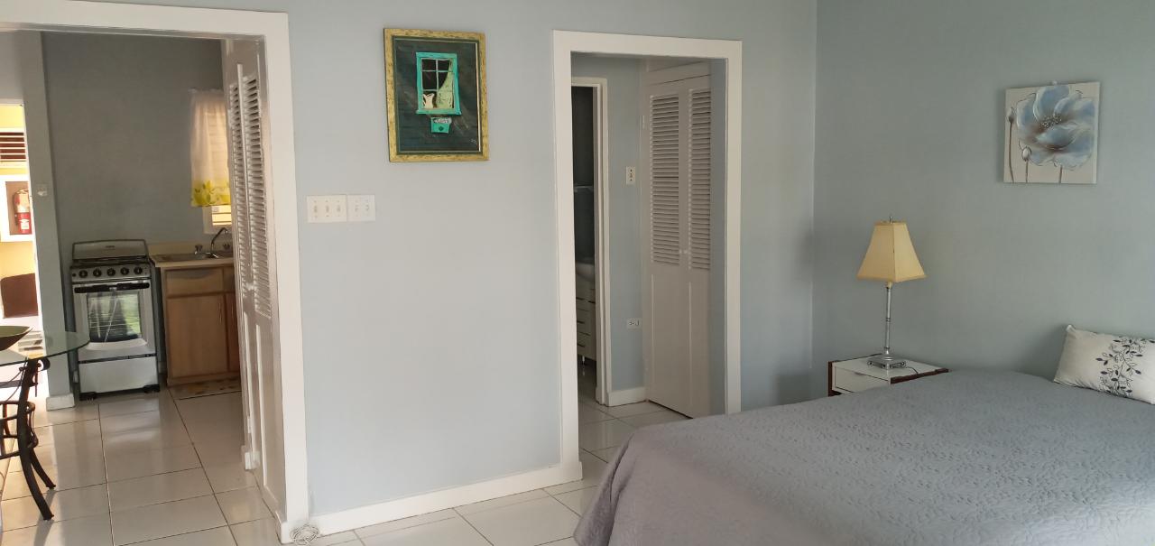 Apartment for Rent   Kingston 19