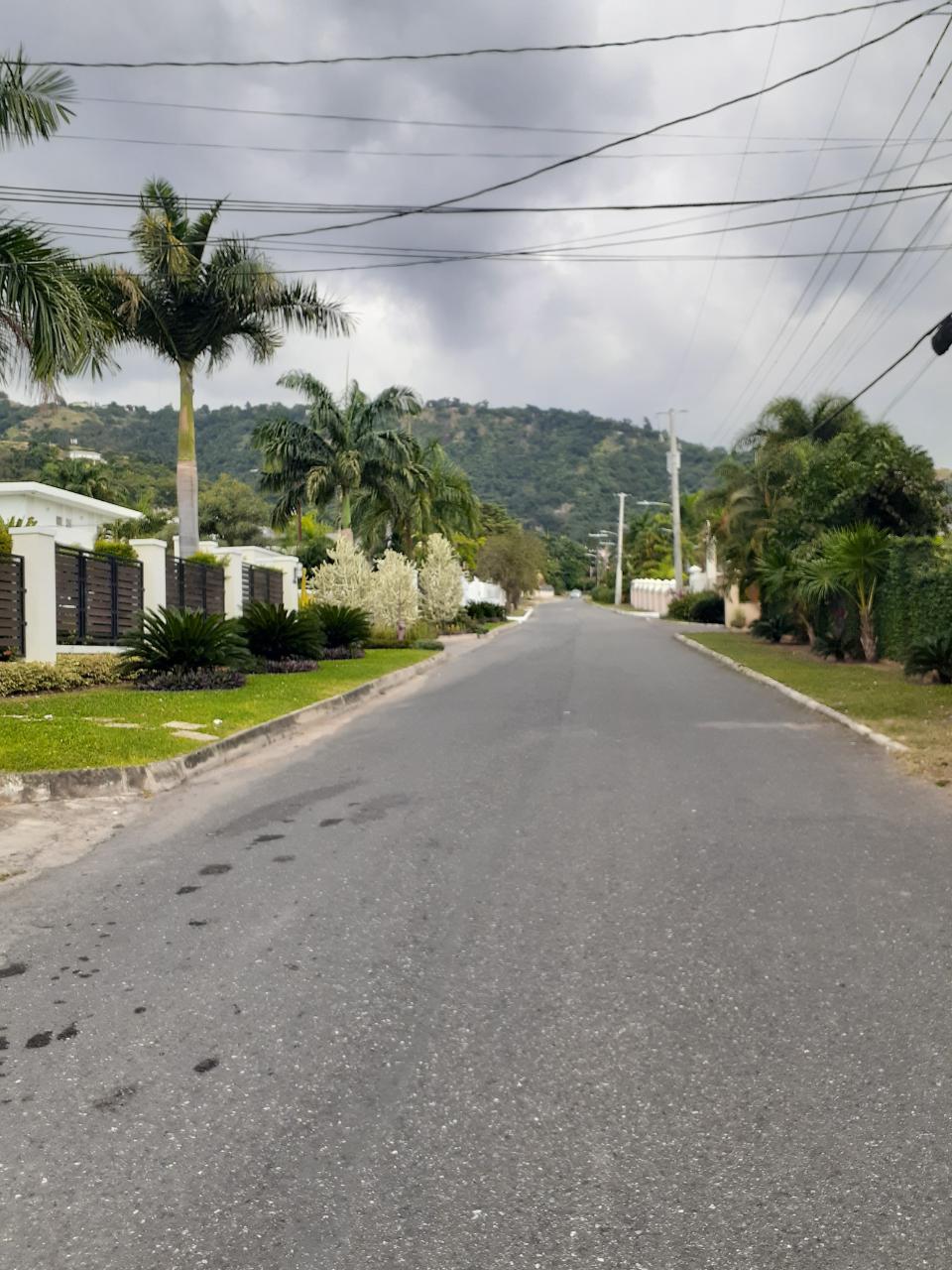 Apartment for Rent   Kingston 6