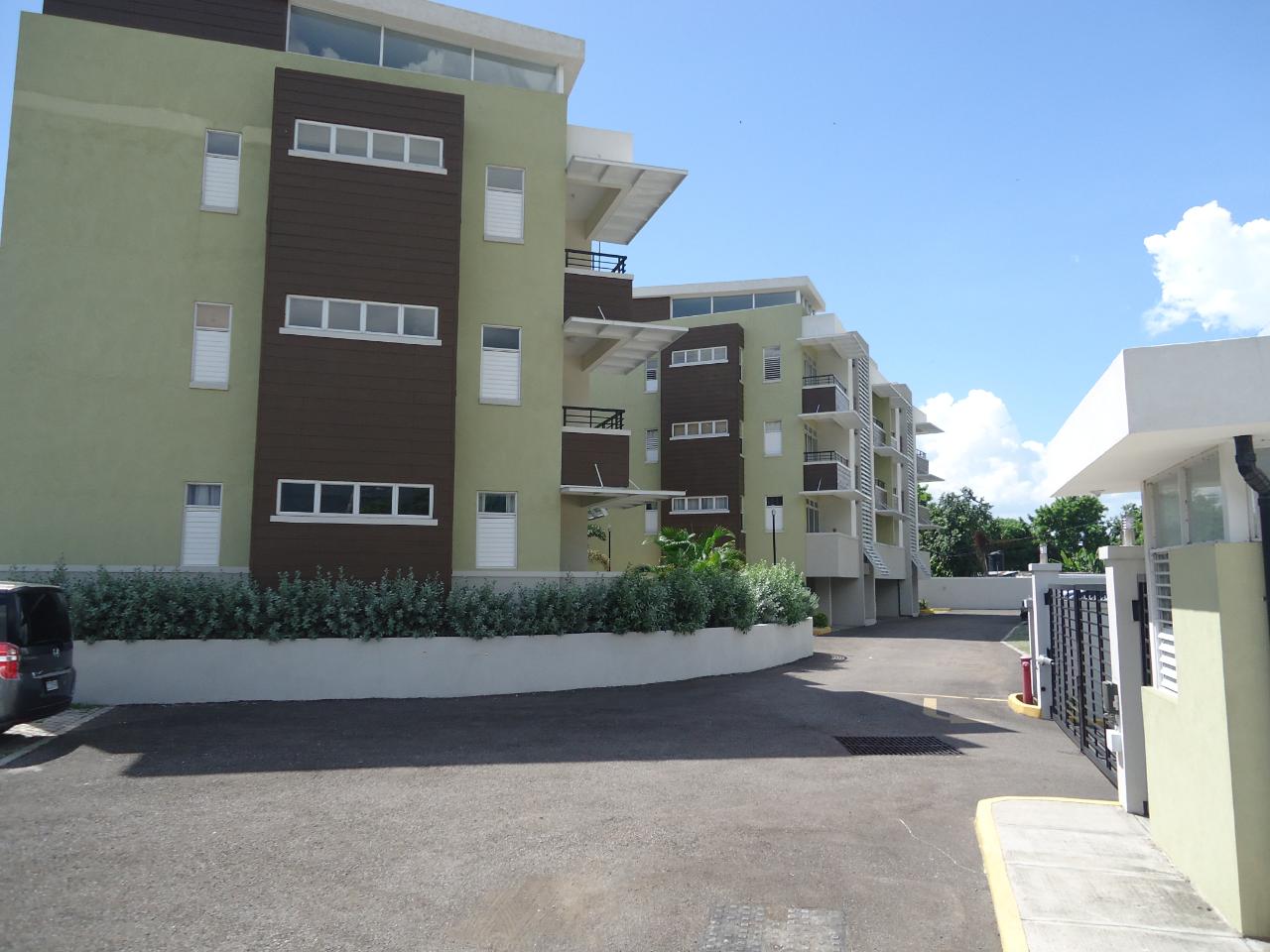 Apartment for Rent   Kingston 20
