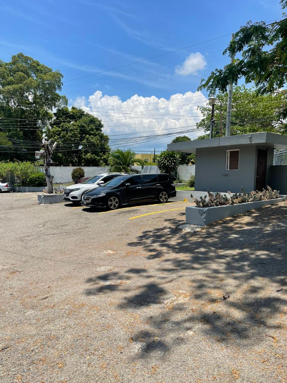 Apartment for Rent   Kingston 1